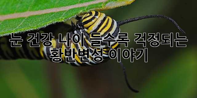 1a24ae2be6413f7c68d14dfdbdbd424f.jpg