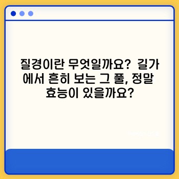 8d921bbb71432cc8221c698c5cbfa750.jpg