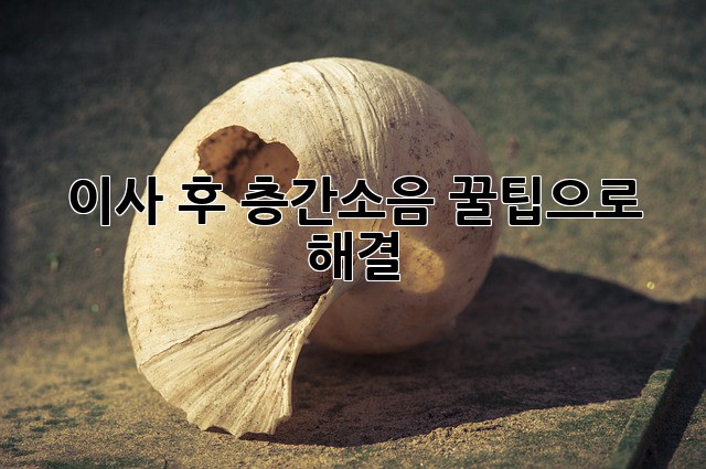 a4987f59251f7a92f759f016aaacc69c.jpg