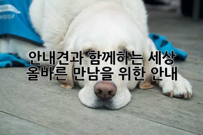 안내견과 함께하는 세상: 올바른 만남을 위한 안내