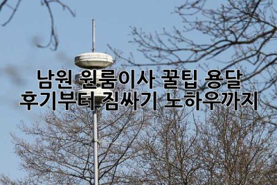 남원 원룸이사 꿀팁🍯 용달 후기부터 짐싸기 노하우까지!