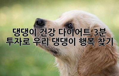 댕댕이 건강 다이어트: 3분 투자로 우리 댕댕이 행복 찾기🐶