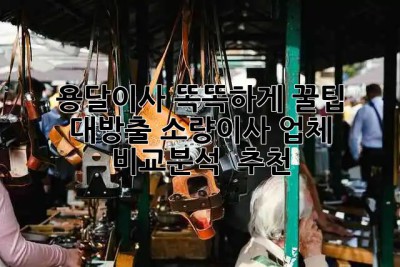 용달이사 똑똑하게! 꿀팁 대방출🍯 소량이사 업체 비교분석 & 추천👍