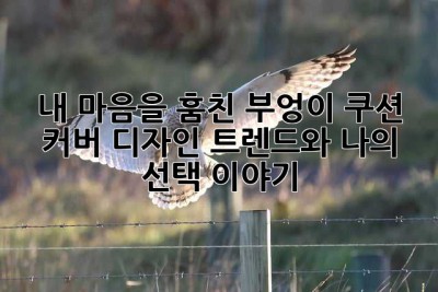 내 마음을 훔친 부엉이 쿠션 커버: 디자인 트렌드와 나의 선택 이야기🦉