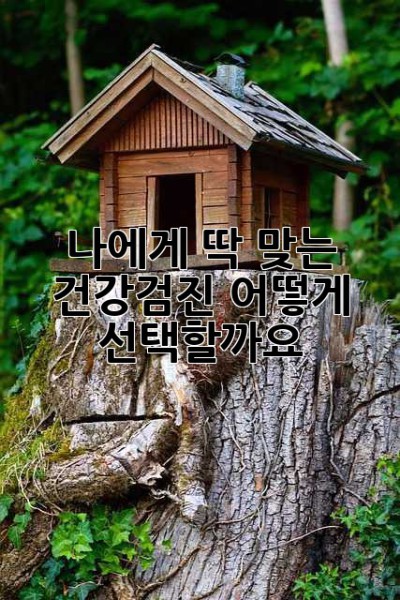 나에게 딱 맞는 건강검진, 어떻게 선택할까요? 🤔
