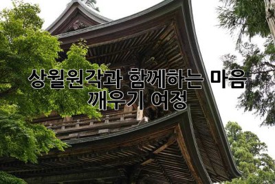 상월원각과 함께하는 마음 깨우기 여정 ✨