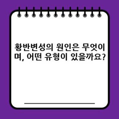 황반변성 완벽 가이드: 증상, 원인, 치료 및 예방법