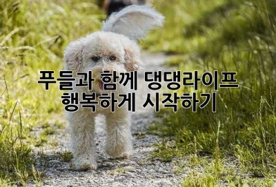 푸들과 함께 댕댕라이프, 행복하게 시작하기🐶
