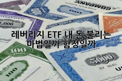 레버리지 ETF, 내 돈 불리는 마법일까 함정일까?