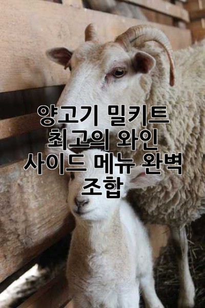 양고기 밀키트: 최고의 와인 & 사이드 메뉴 완벽 조합!