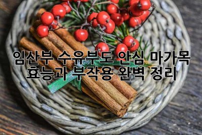 임산부, 수유부도 안심? 마가목 효능과 부작용 완벽 정리!