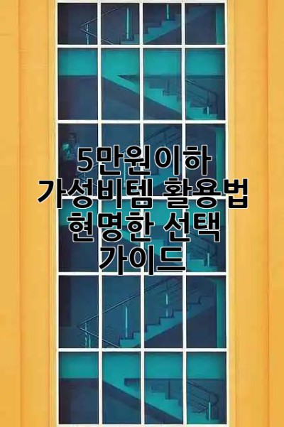 5만원이하💰 가성비템 활용법 & 현명한 선택 가이드✨