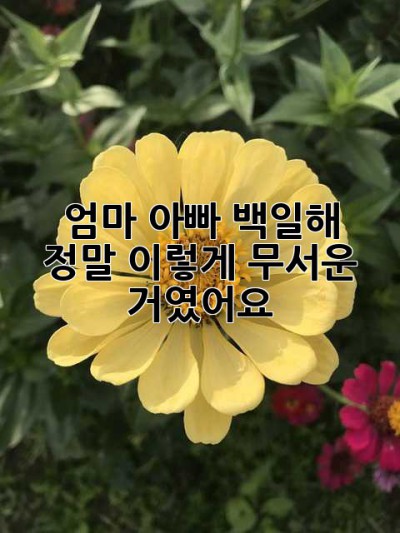 엄마, 아빠! 백일해, 정말 이렇게 무서운 거였어요?
