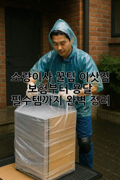 소량이사 꿀팁🍯 이삿짐 보험부터 용달 필수템까지 완벽 정리!