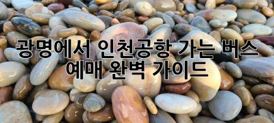 광명에서 인천공항 가는 버스 예매 완벽 가이드