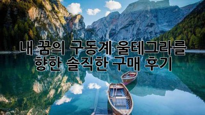 내 꿈의 구동계, 울테그라를 향한 솔직한 구매 후기