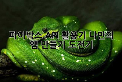 파이박스 API 활용기: 나만의 앱 만들기 도전기!
