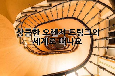 상큼한 오렌지 드링크의 세계로 떠나요!🍊
