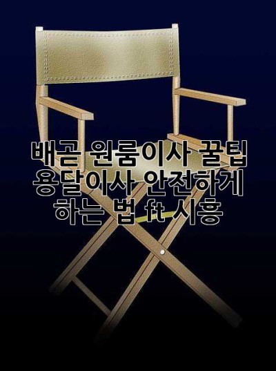 배곧 원룸이사 꿀팁🍯 용달이사 안전하게 하는 법! (ft. 시흥)