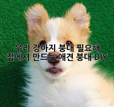 우리 강아지, 붕대 필요해? 집에서 만드는 애견 붕대 DIY!