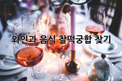 와인과 음식, 찰떡궁합 찾기!🍷