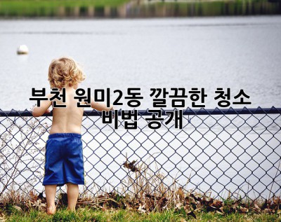 부천 원미2동 깔끔한 청소, 비법 공개! ✨