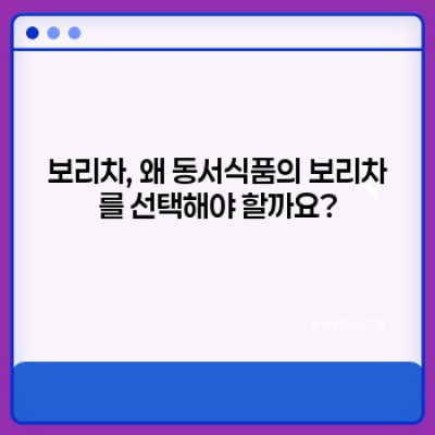 보리차동서: 효능, 부작용, 선택 가이드 - 당신에게 맞는 보리차는?