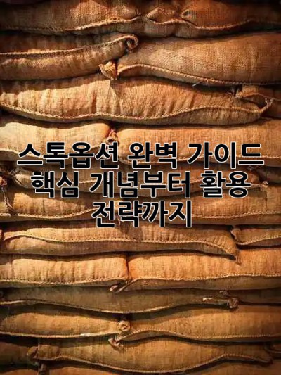 스톡옵션 완벽 가이드🚀: 핵심 개념부터 활용 전략까지!
