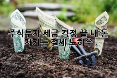 주식투자, 세금 걱정 끝! 내 돈 지키는 절세 노하우