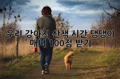 우리 강아지 산책 시간, 댕댕이 매너 100점 받기!