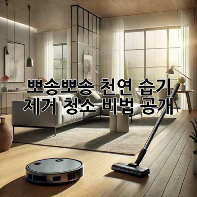 뽀송뽀송✨ 천연 습기 제거 청소 비법 공개! 🌿