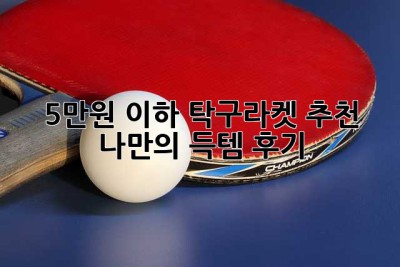 5만원 이하 탁구라켓 추천! 🤫 나만의 득템 후기