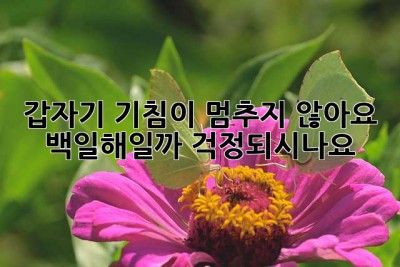 갑자기 기침이 멈추지 않아요? 백일해일까 걱정되시나요?