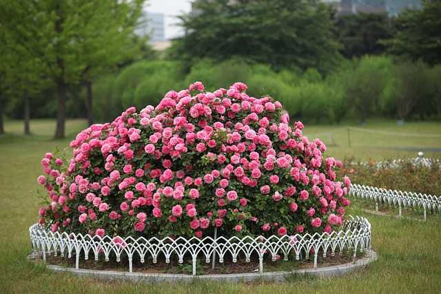 새일산업002.jpg