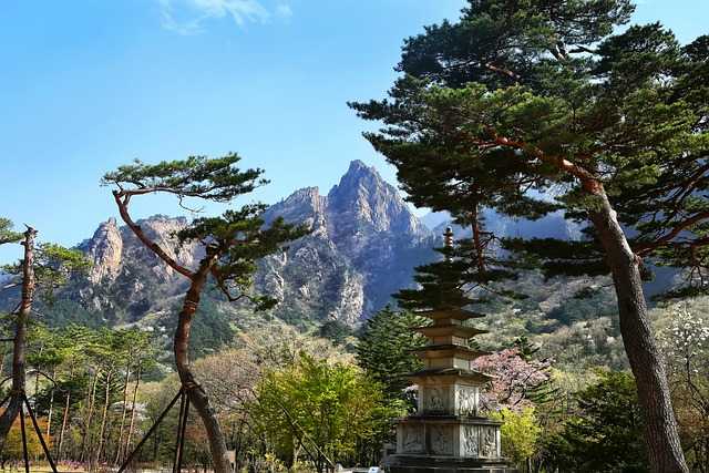 신흥국009.jpg